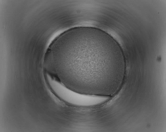 X0000092031085200709271604