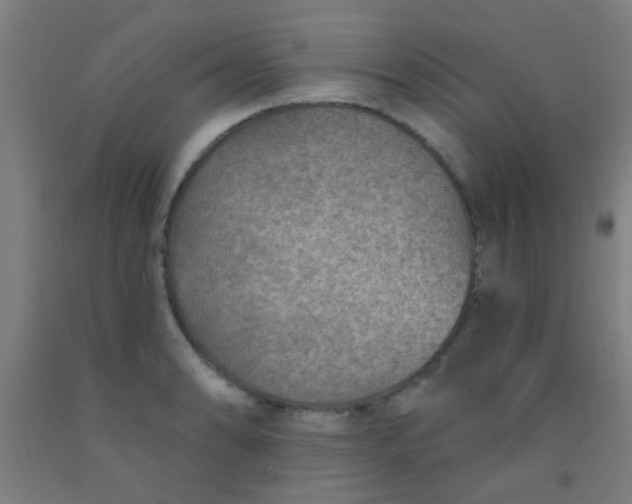 X0000092031086200709271604