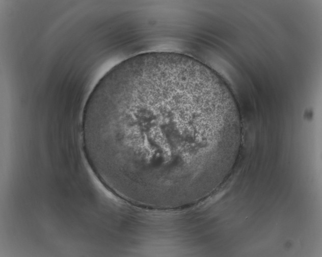 X0000092031087200709271604