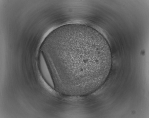 X0000092031091200709271604