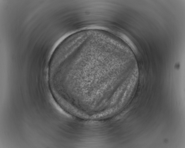 X0000092031092200709271604