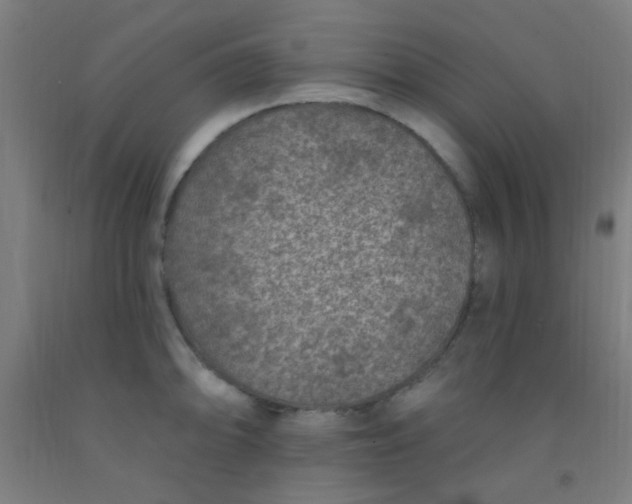 X0000092031094200709271604