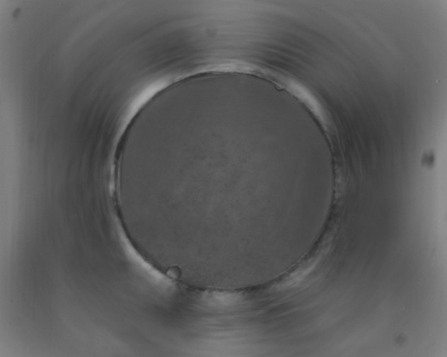 X0000092031095200709271604