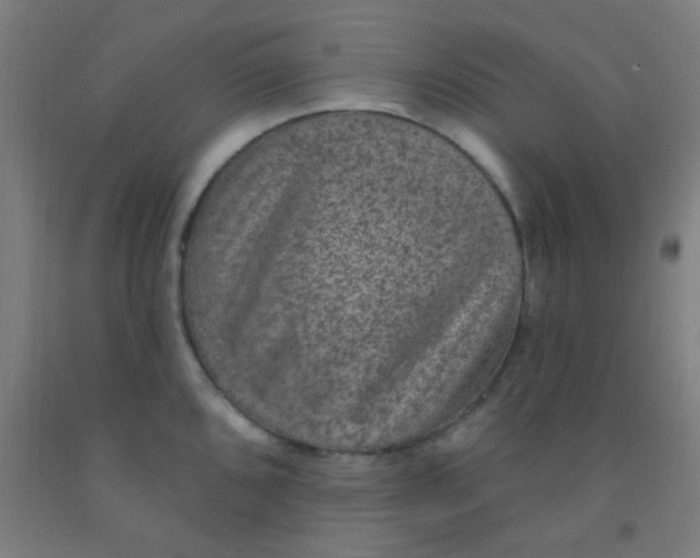 X0000092031096200709271604