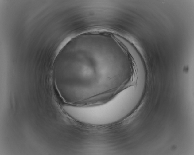 X0000092031097200709271604