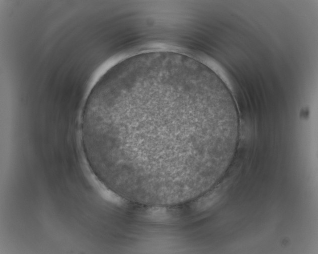 X0000092031098200709271604