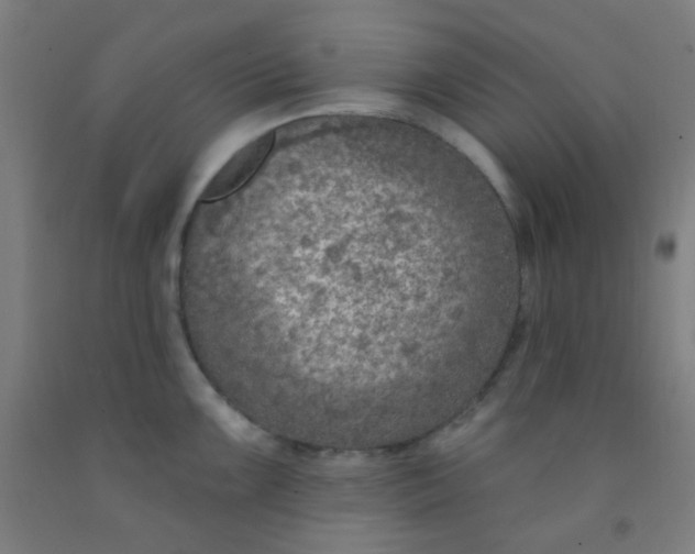 X0000092031099200709271604