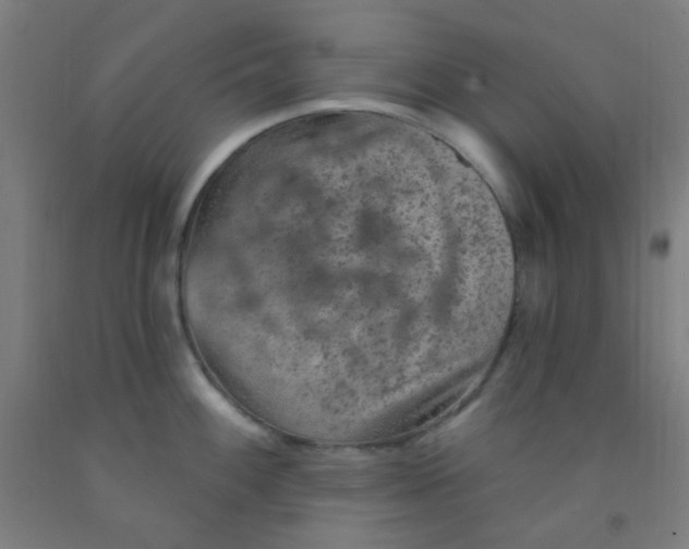 X0000092031100200709271604