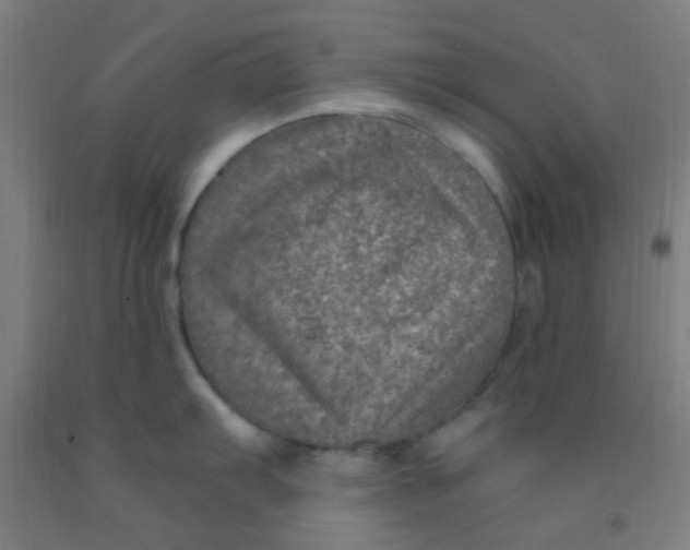 X0000092031103200709271604