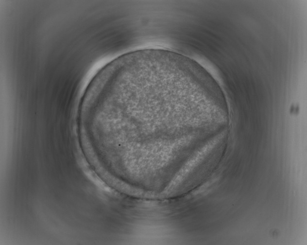 X0000092031104200709271604