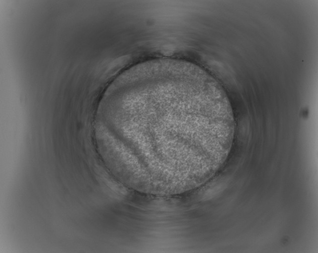 X0000092031105200709271604