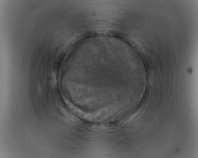 X0000092031106200709271604