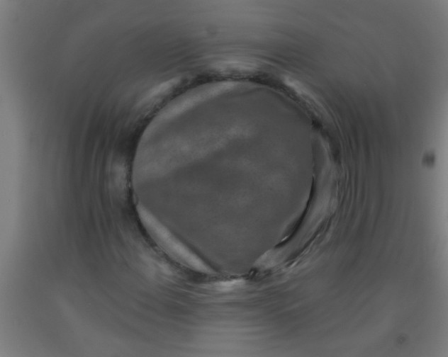 X0000092031108200709271604