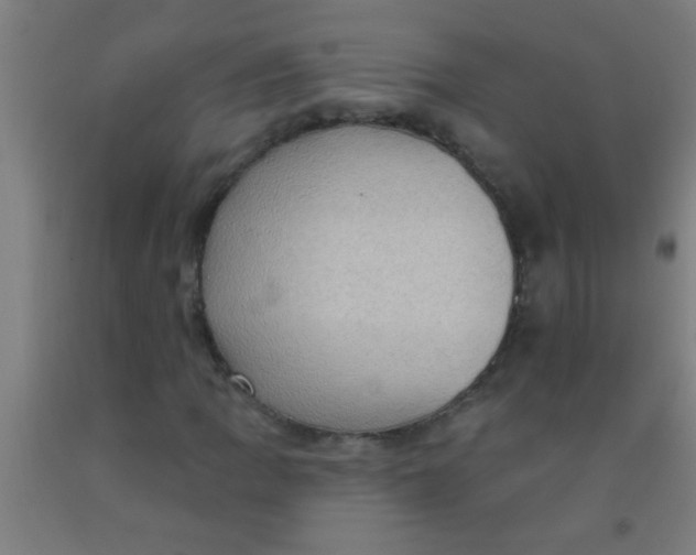 X0000092031109200709271604