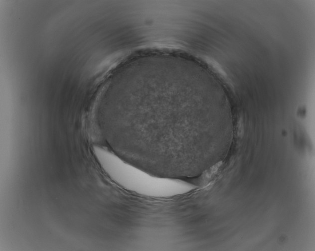 X0000092031110200709271604