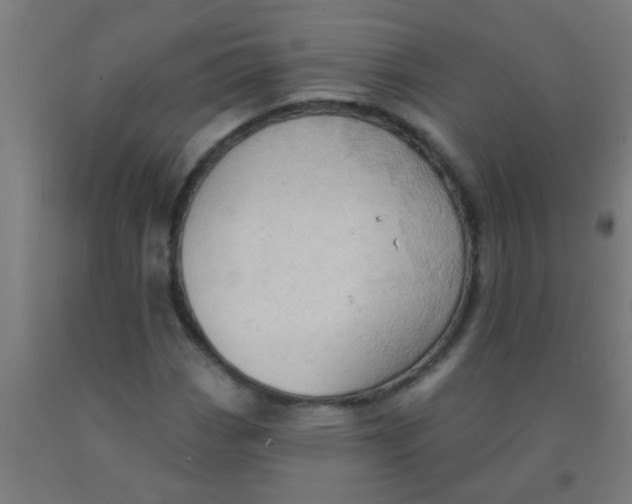 X0000092031113200709271604