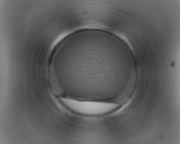 X0000092031114200709271604