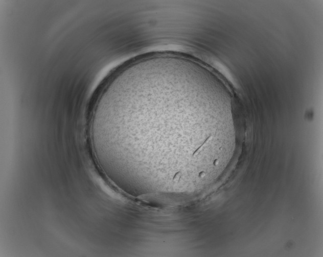 X0000092031116200709271604