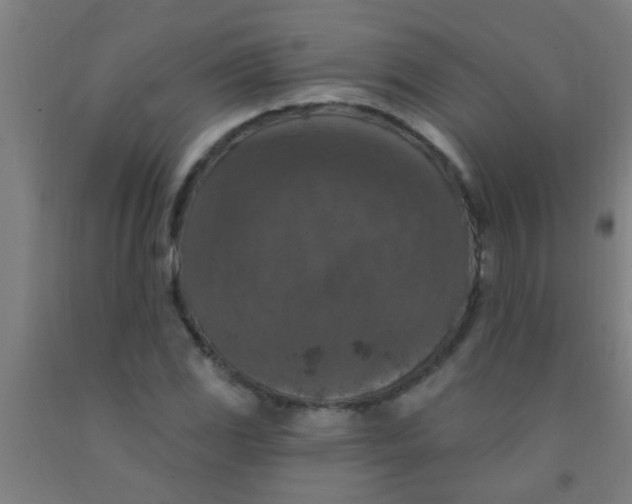 X0000092031117200709271604