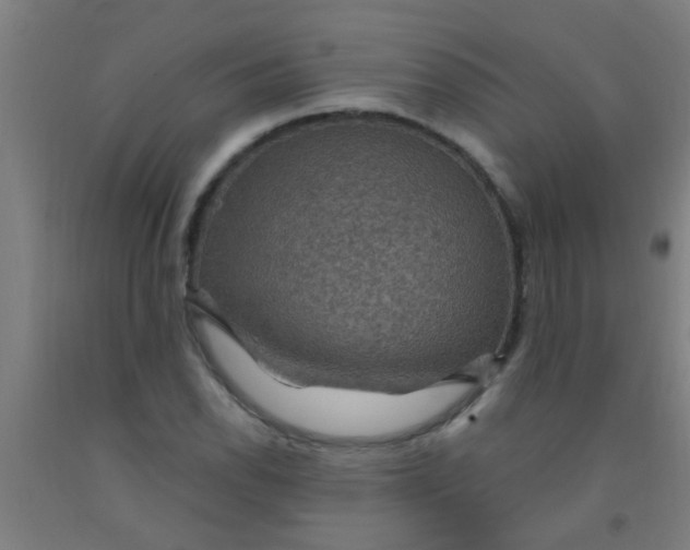 X0000092031118200709271604