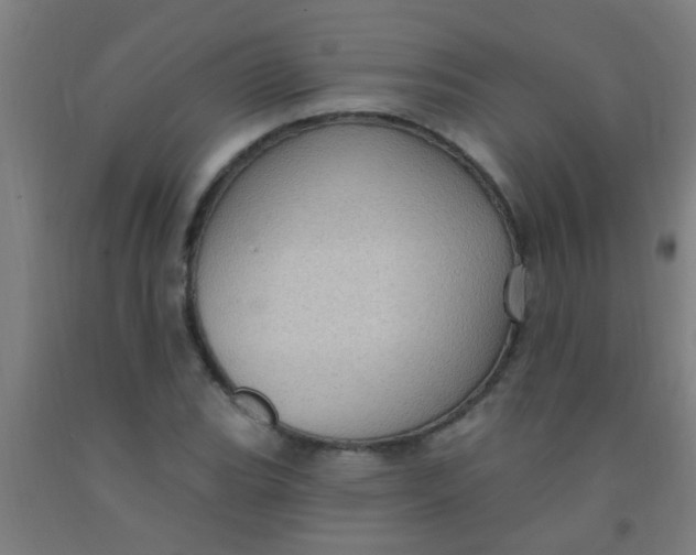 X0000092031119200709271604