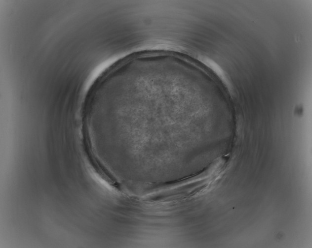 X0000092031120200709271604