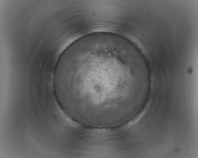 X0000092031121200709271604