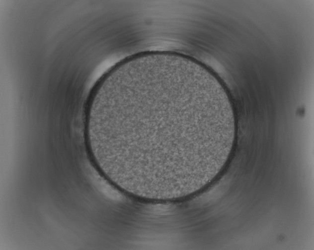 X0000092031122200709271604