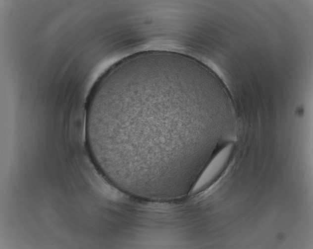 X0000092031123200709271604