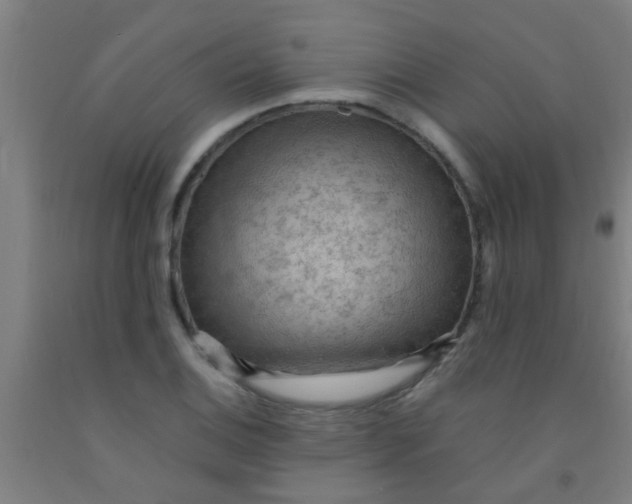 X0000092031124200709271604