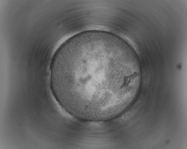 X0000092031125200709271604