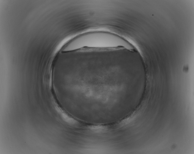 X0000092031127200709271604