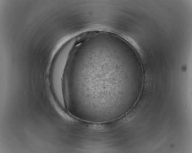 X0000092031128200709271604