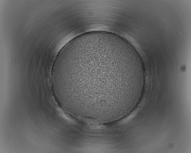 X0000092031129200709271604