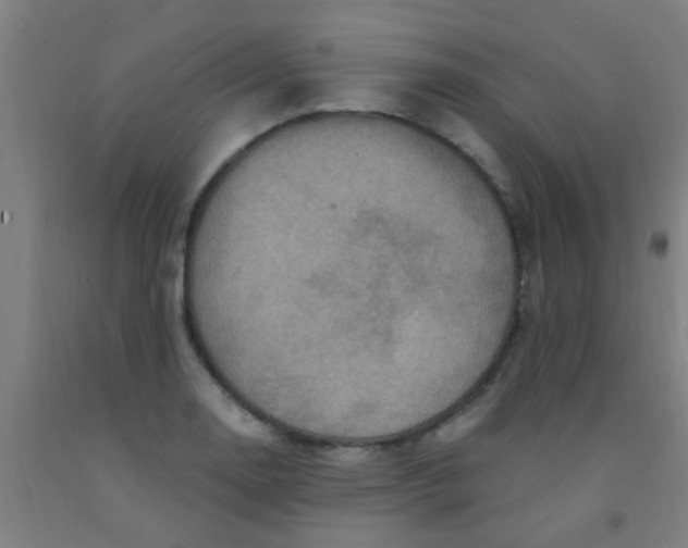 X0000092031130200709271604