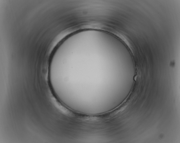 X0000092031131200709271604