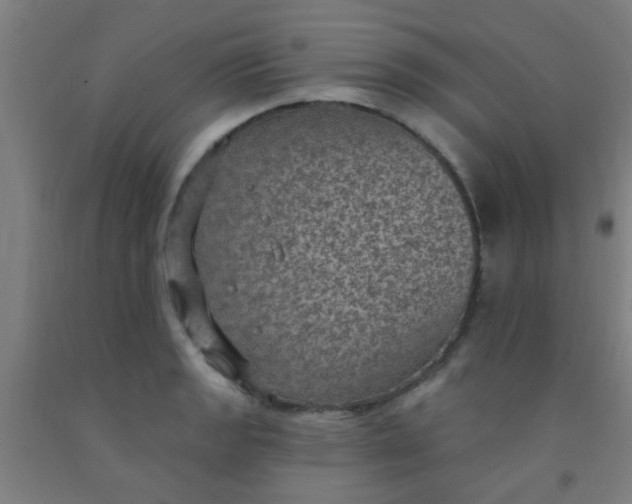 X0000092031133200709271604