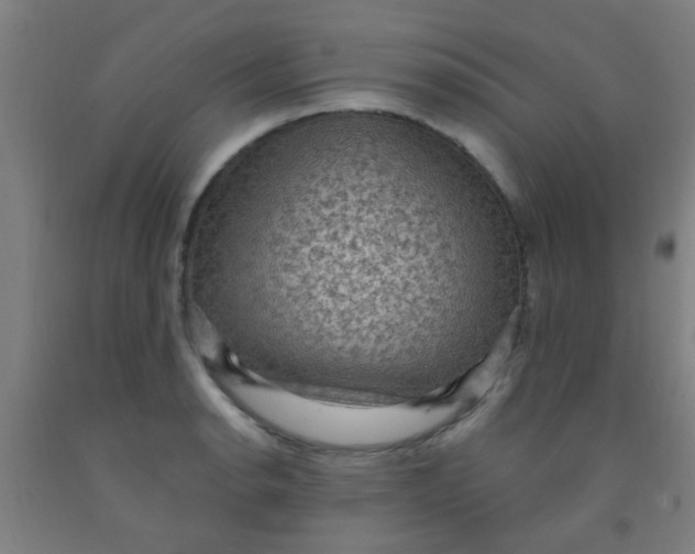 X0000092031134200709271604