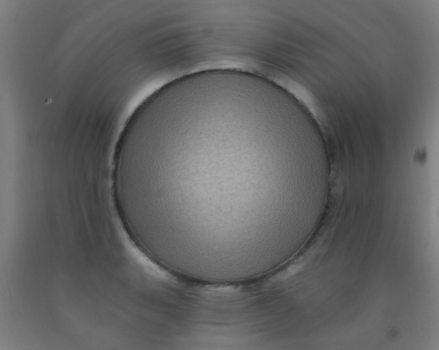 X0000092031135200709271604