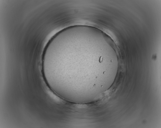 X0000092031136200709271604