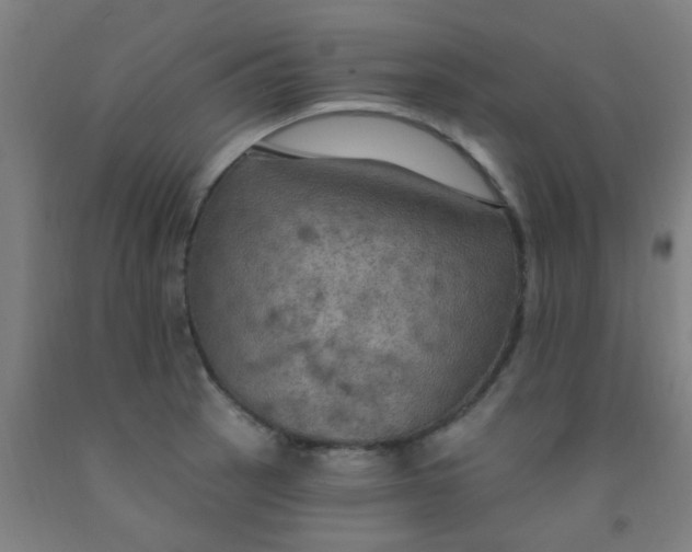 X0000092031137200709271604