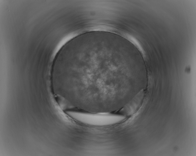 X0000092031138200709271604