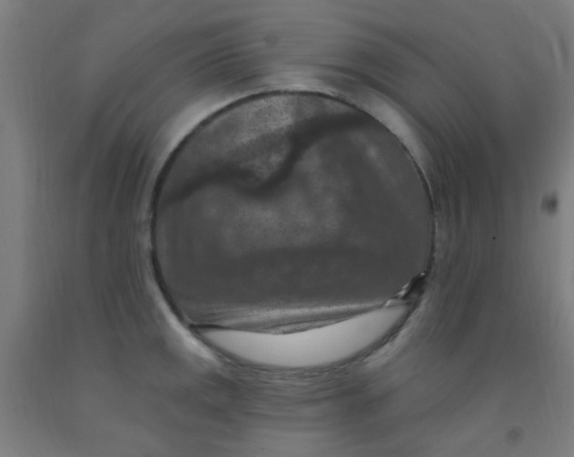 X0000092031141200709271604