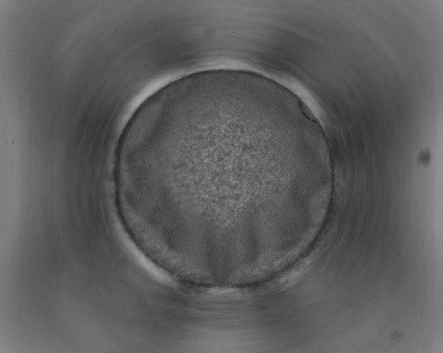 X0000092031142200709271604