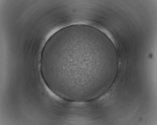 X0000092031143200709271604