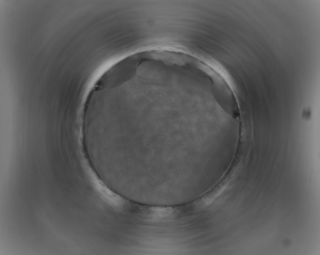 X0000092031144200709271604