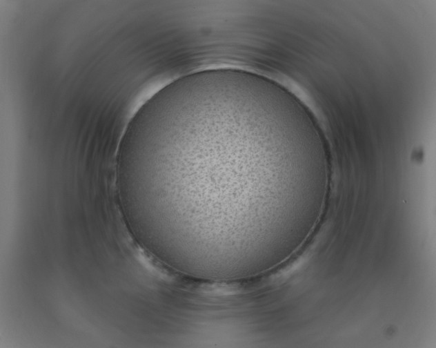 X0000092031145200709271604