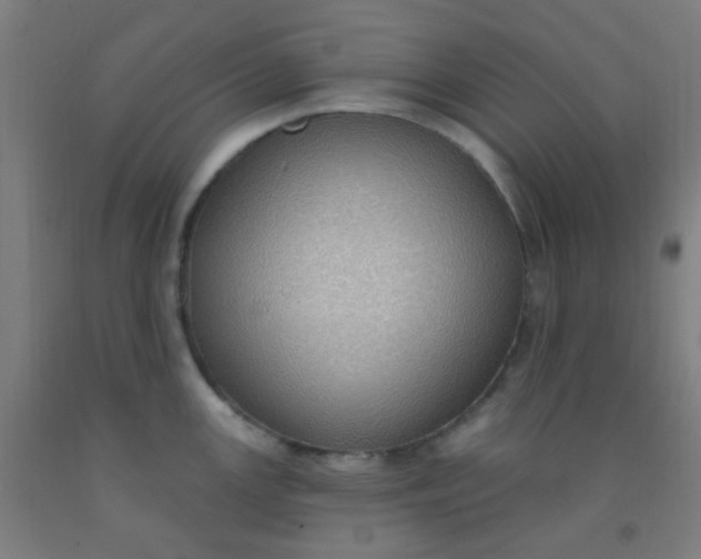 X0000092031147200709271604