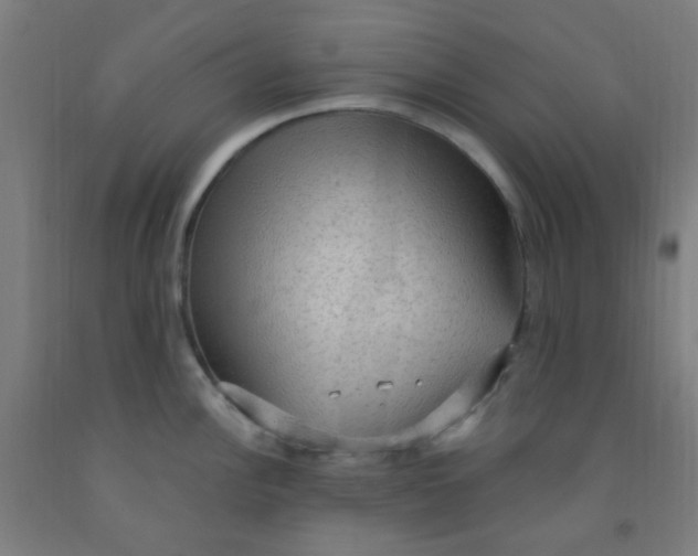 X0000092031148200709271604