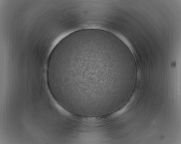 X0000092031149200709271604